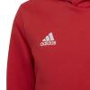 H57566 ENT22 HOODY ΒΑΜΒΑΚΕΡ ΦΟΥΤΕΡ